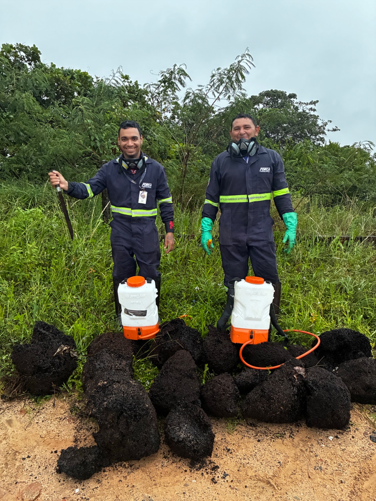 Equipe da Força Dedetizadora após eliminar colônia de cupim